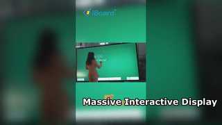 110'' big size interactive flat panel display