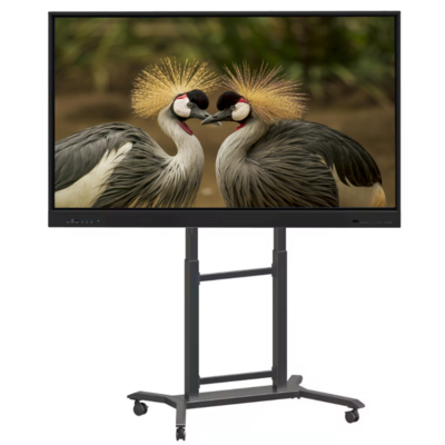Manufacturer IBoard 65 Inch Interactive Whiteboard Smart Board Interactive Flat Panel Smart Digital Touch Screen Dual System For School Teaching Office