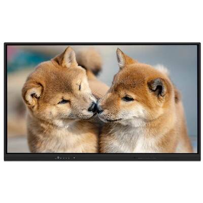 75 Inch Interactive Flat Panel Smart Board with Android 15 and WiFi 6 for Schools and Offices