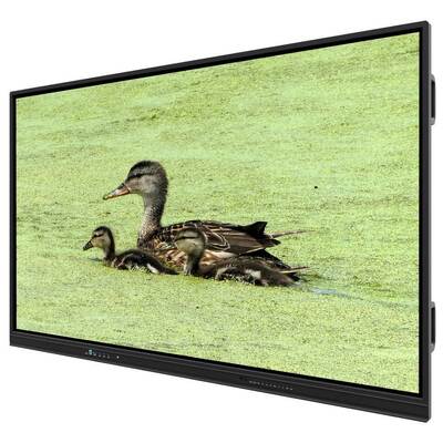 65 Inch All In One Interactive Whiteboard with 8+128G Storage and Infrared Touch for Teaching and Meetings