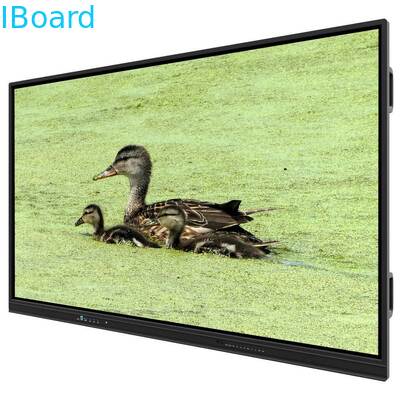 75 inch All in one Interactive whiteboard Smart boards for School Office Conference