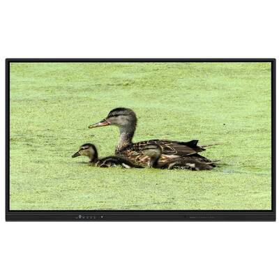 65 Inch All In One Interactive Whiteboard with 8+128G Storage and Infrared Touch for Teaching and Meetings