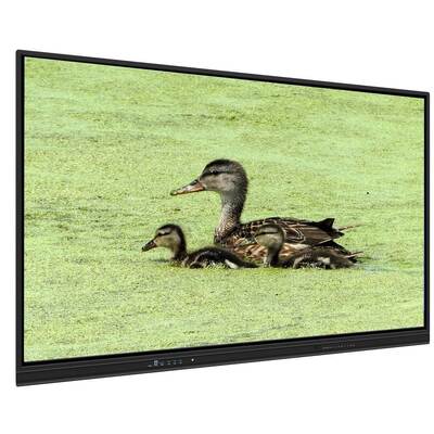 65 Inch All In One Interactive Whiteboard with 8+128G Storage and Infrared Touch for Teaching and Meetings