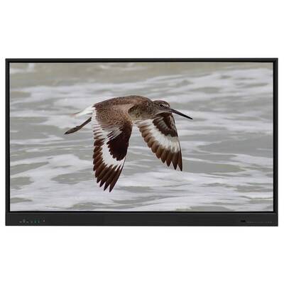 Iboard Interactive Whiteboard Android 15 EDLA with 65 Inch Panel For E-learning