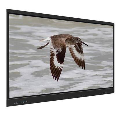 Iboard Interactive Whiteboard Android 15 EDLA with 65 Inch Panel For E-learning