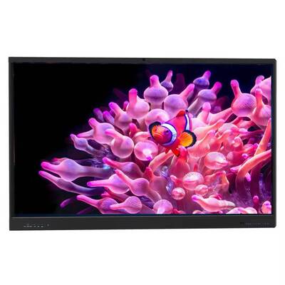75-Inch 4K Resolution 40-Point Touch Interactive Flat Panel Smart Whiteboard for Classroom Use