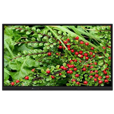 75 Inch oem interactive whiteboard with Speakers For Home Teaching Zoom Meetings