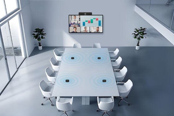 4K ePTZ Conference Camera With Wireless extension microphone for Conference