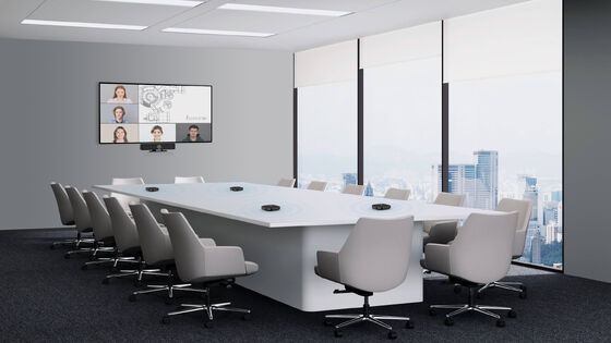 4K ePTZ Conference Camera With Wireless extension microphone for Conference