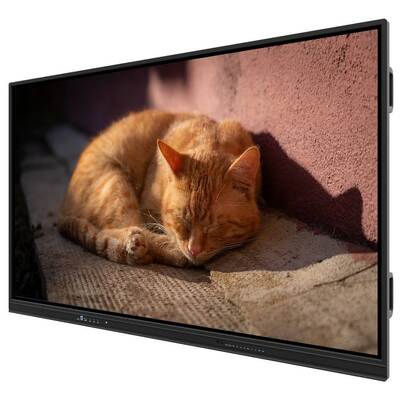 75 Inch Android EDLA Google Apps 50 Touch Smart Monitor USB HDMI For Teaching Meeting