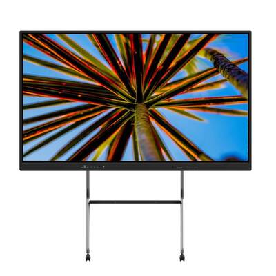 Iboard 75 Inch USB HDMI Smart Touch Panel Record Camera Mic Software For Class
