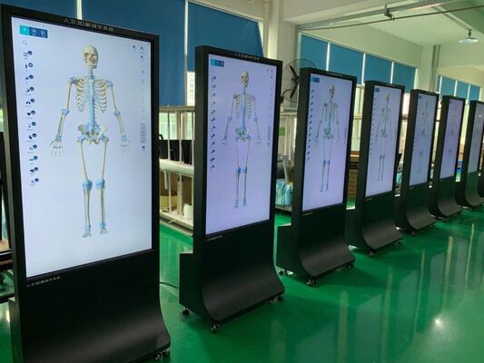 Linux Operating System Digital Signage with 4000 1 Contrast Ratio Enabling Clear Bright Visuals and Easy Content Updates