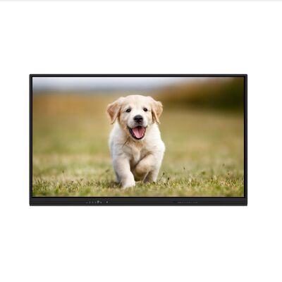 Interactive Whiteboard Flat Panel 86 Inch Multi Touch Screen for Classroom Meeting