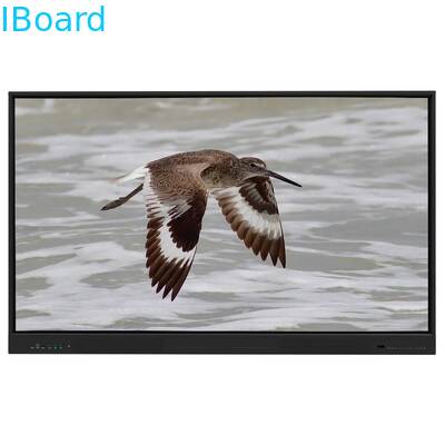 Iboard Interactive Whiteboard Android 15 EDLA with 65 Inch Panel For E-learning