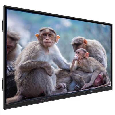 LCD Interactive Flat Panel with 16:9 Aspect Ratio Dual OS Support and HDMI Inputs for Enhanced Teaching
