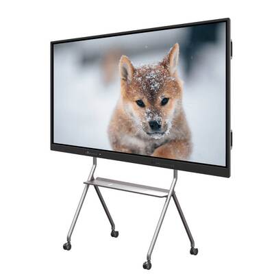 86 Inch OEM ODM Brand Portable Smart Interactive Display Screens 50 IR Touch